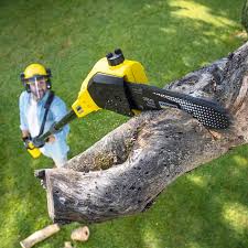Lawn Pest Prevention in Shasta Lake, CA
